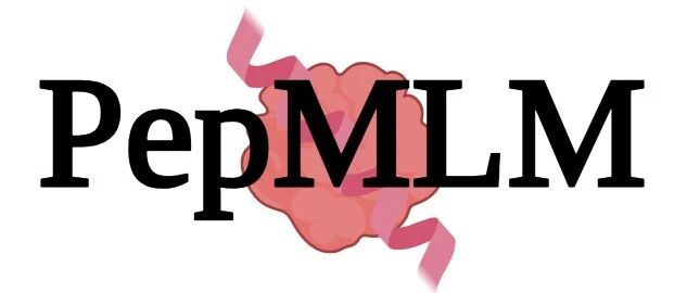 PepMLM:用掩码语言模型设计靶向高亲和力肽