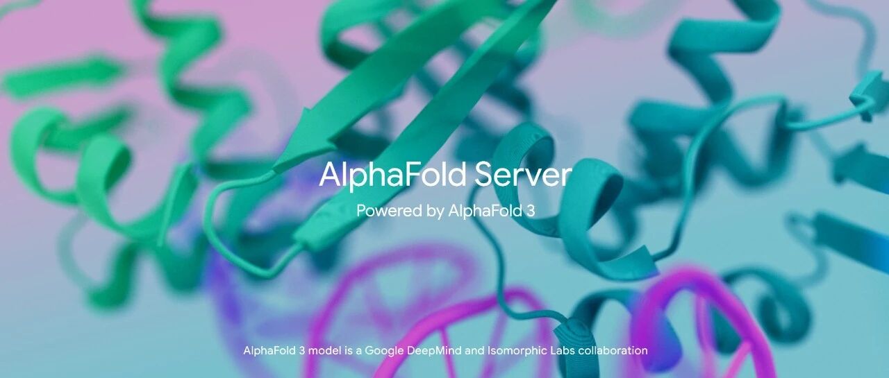 解锁 Alphafold3 网页版：批量预测蛋白结构，并精准解读结果