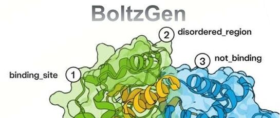 BoltzGen:纳米抗体、蛋白、线性肽、环肽、无序区、小分子……一模型通吃!