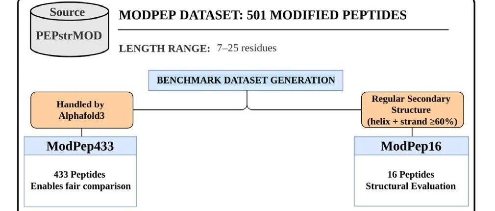 PEPstrMOD2：把 AlphaFold、AMBER 和分子动力学接起来，专攻化学修饰肽结构预测